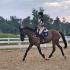 USPC Championships & Festival from SRPC